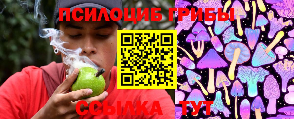 Чехов  Галлюциногенные грибы Psilocybine cubensis  Псилоцибиновые грибы Psilocybe  Вход с VPN 