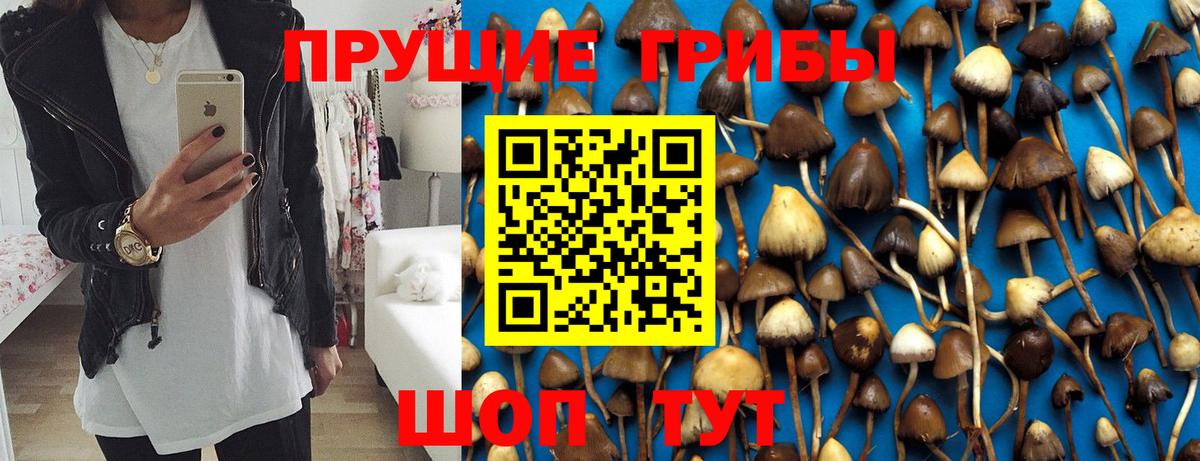 Псилоцибиновые грибы MAGIC MUSHROOMS Чехов